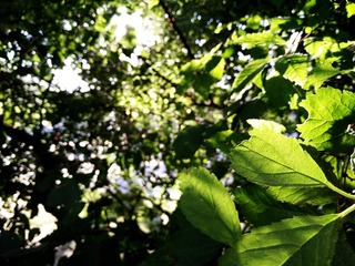 C360_2016-08-28-08-22-36-690