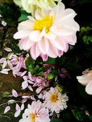 C360_2016-09-16-11-09-20-829