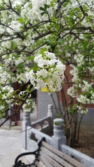 20160331_103822-01