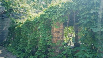 20160510_100439-01