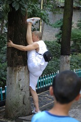 IMG_0015_