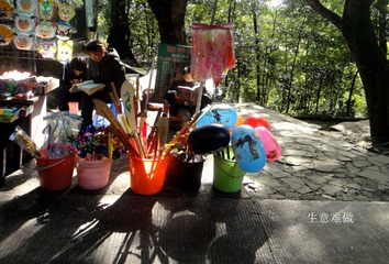 DSC01548_