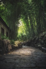 曲径通幽