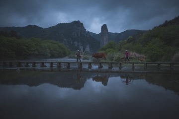 老牛与农OR老农与牛