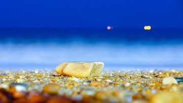 黄金海岸