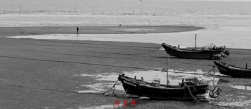 IMG_7907