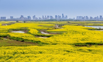 IMG_7771