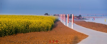 IMG_7840