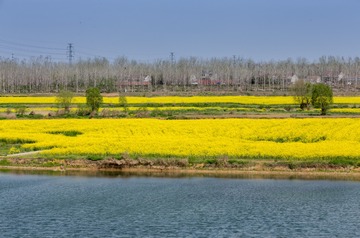 IMG_7715