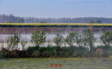 IMG_7867