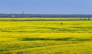 IMG_7739