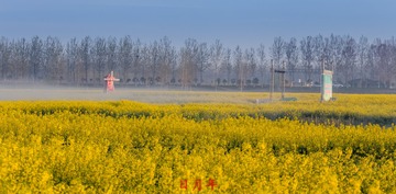 IMG_7886