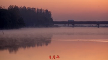 IMG_7833