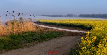 IMG_7862