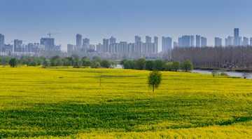 IMG_7728-2