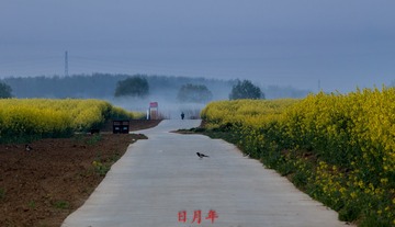 IMG_7844