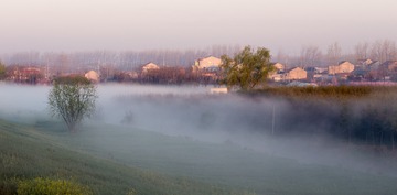 IMG_7648