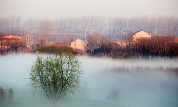 IMG_7647