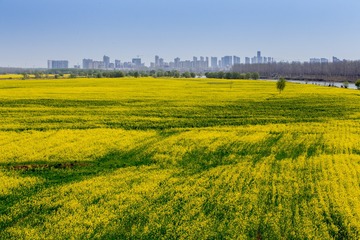 IMG_7741-2