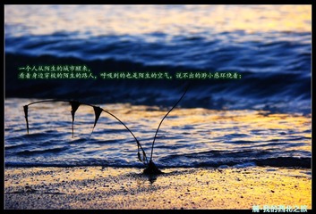IMGP9484.JPG