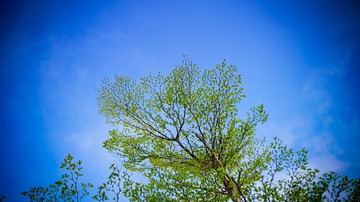 2540660