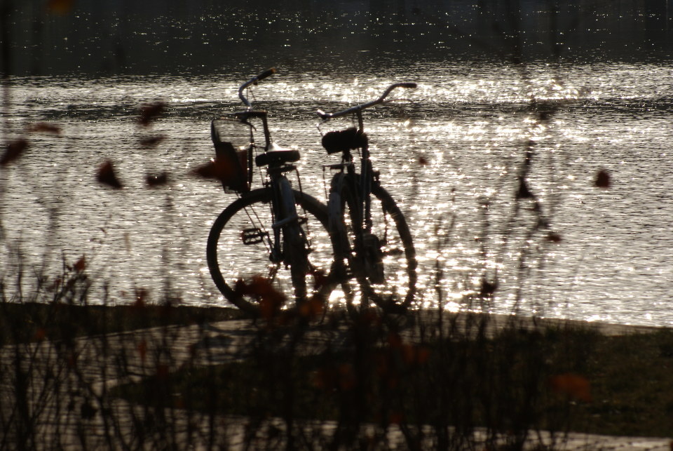 依偎<br />
黄昏，波光粼粼，此景赋予了单车以生命，以真情。