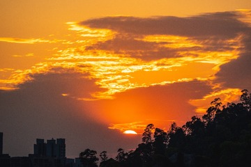 7821763C-D9D1-40C2-B7B1-32F7133BA003/L0/001