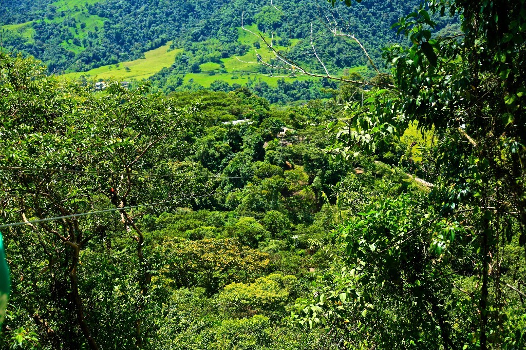 zipline