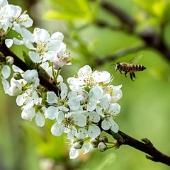 IMG_20160317_131004-02