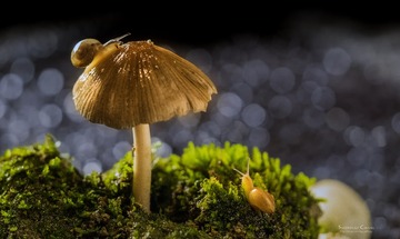 ???2