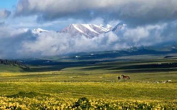 DSC07318-01