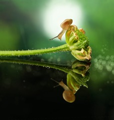 P1040418