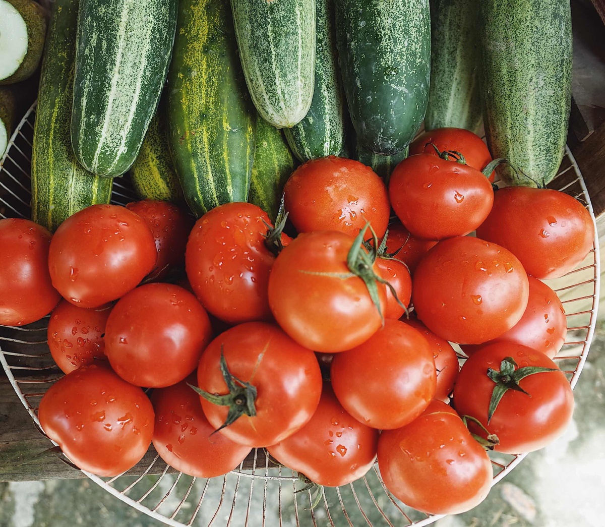 乡下田野里采摘的新鲜瓜果