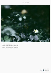 菩提本无树