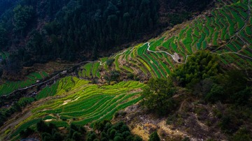 DJI_0516