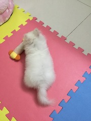001