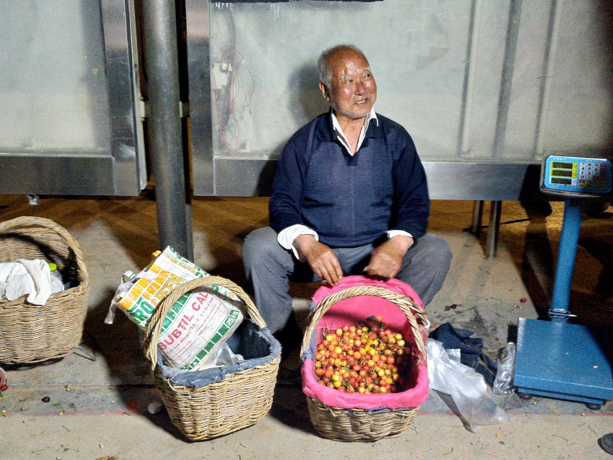 82岁老人摆摊卖樱桃