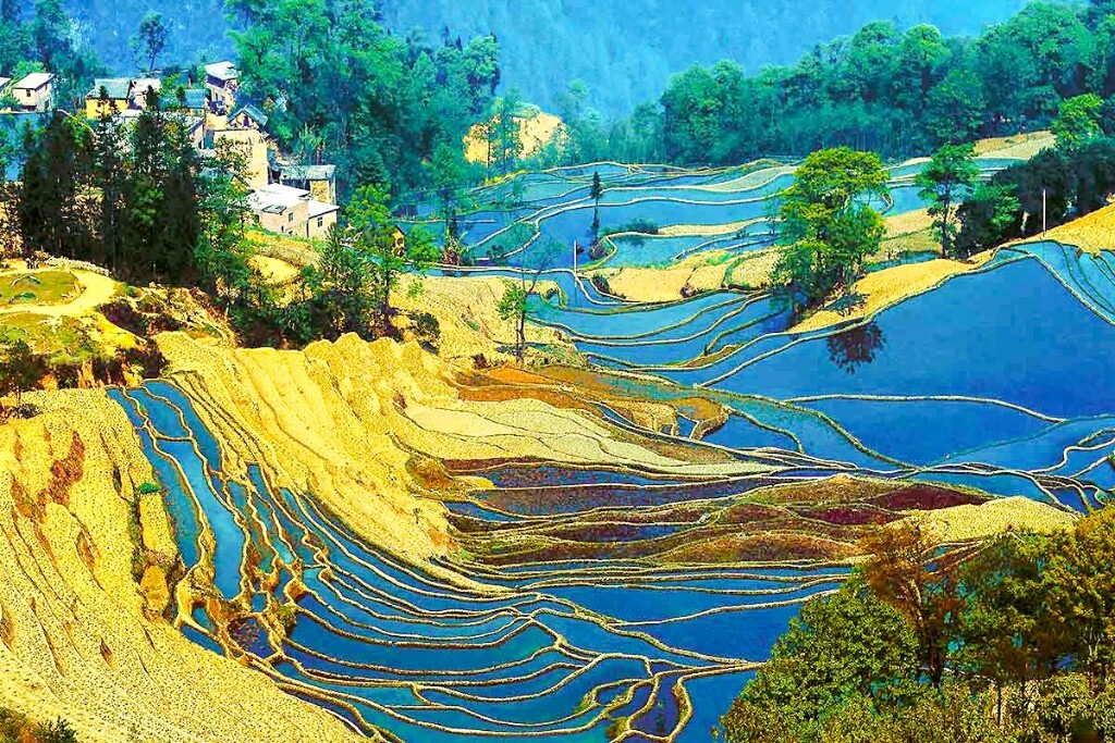 中国元阳梯田风光