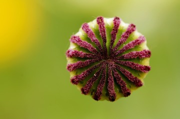 59