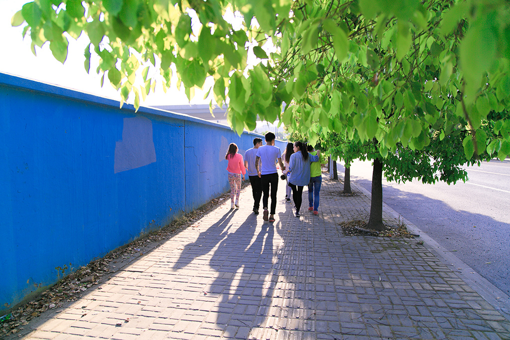 一群年轻人走过香樟树下