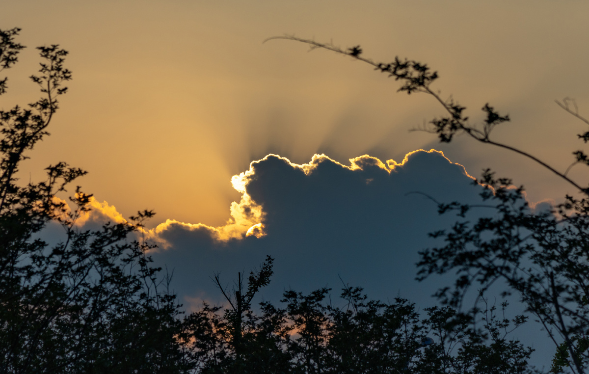秋天的夕阳很美