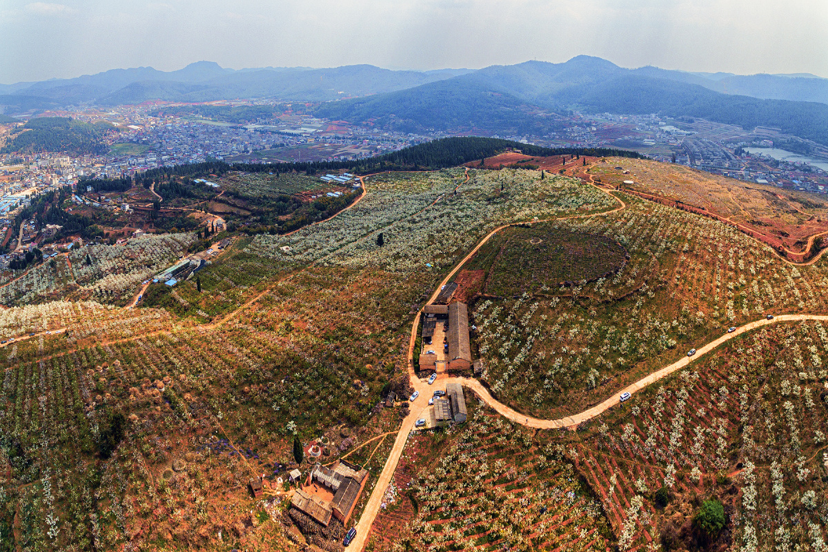 龙潭千亩梨园2020多3月21日云南省昆明市西山区团结乡