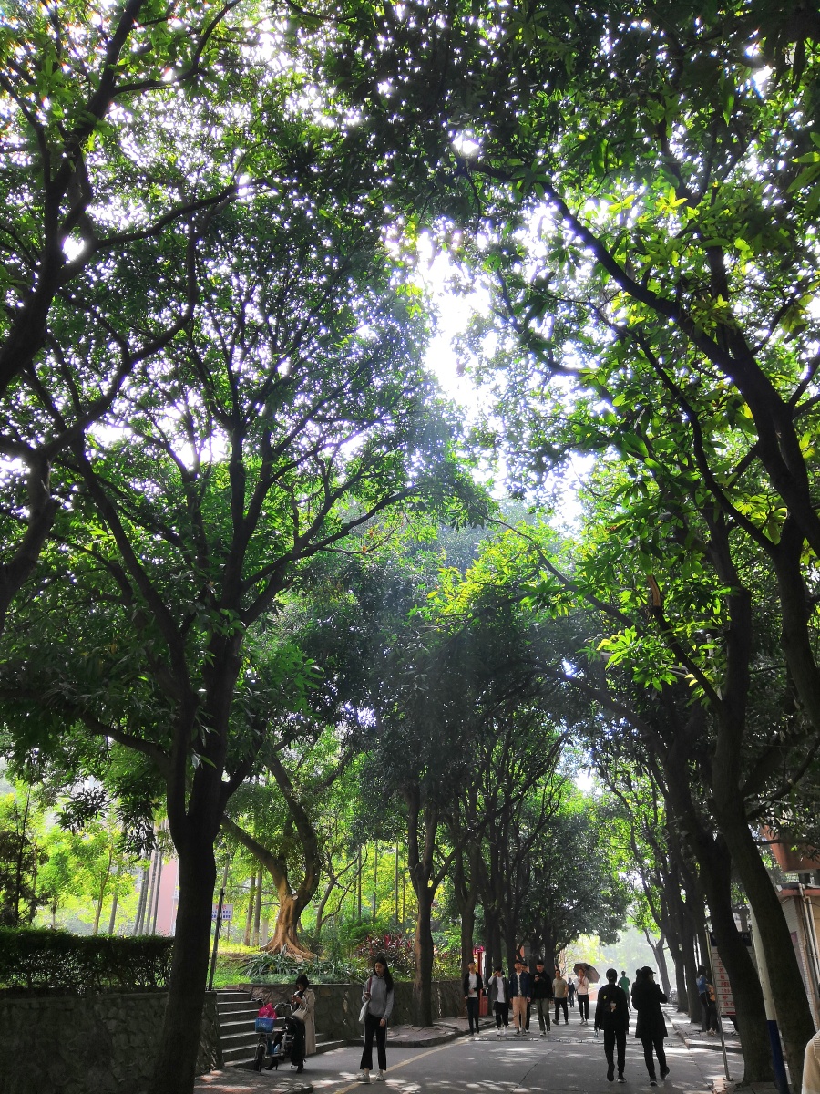 飞机师的风衣丶