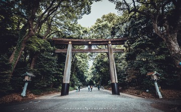 133028