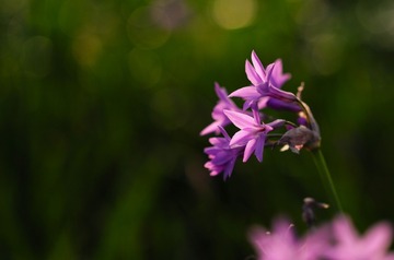 967692