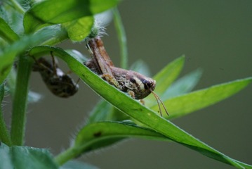 LRG_DSC04199