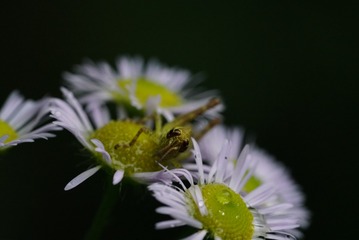 LRG_DSC04188_1
