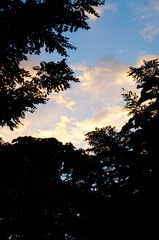 9BF91A66-6EB4-408D-BCB7-BA97DF21B4D2/L0/001