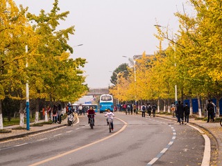 PB191253