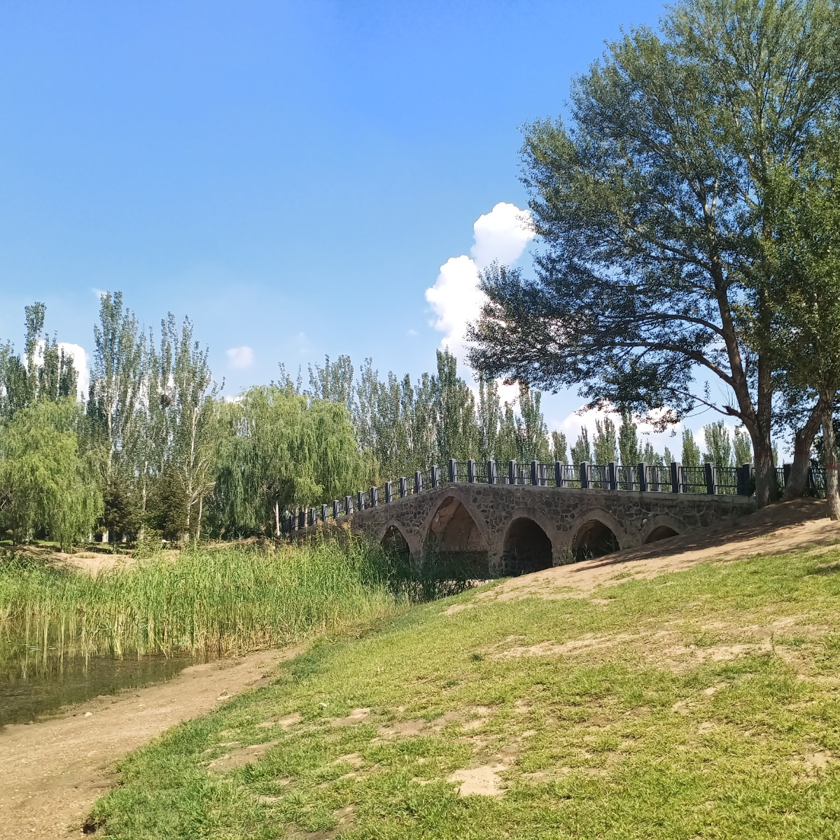 乌素图国家森林公园 - 潇㭍 - 图虫